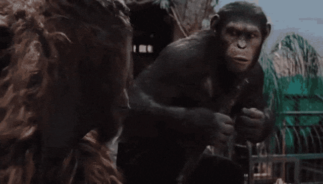 gif-2